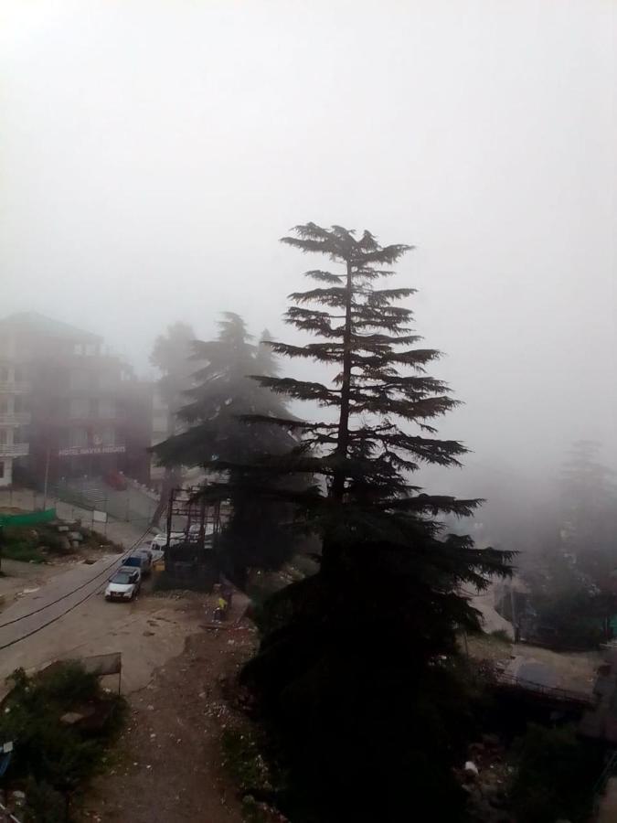 Moonlight Ridge Lägenhet McLeod Ganj Exteriör bild