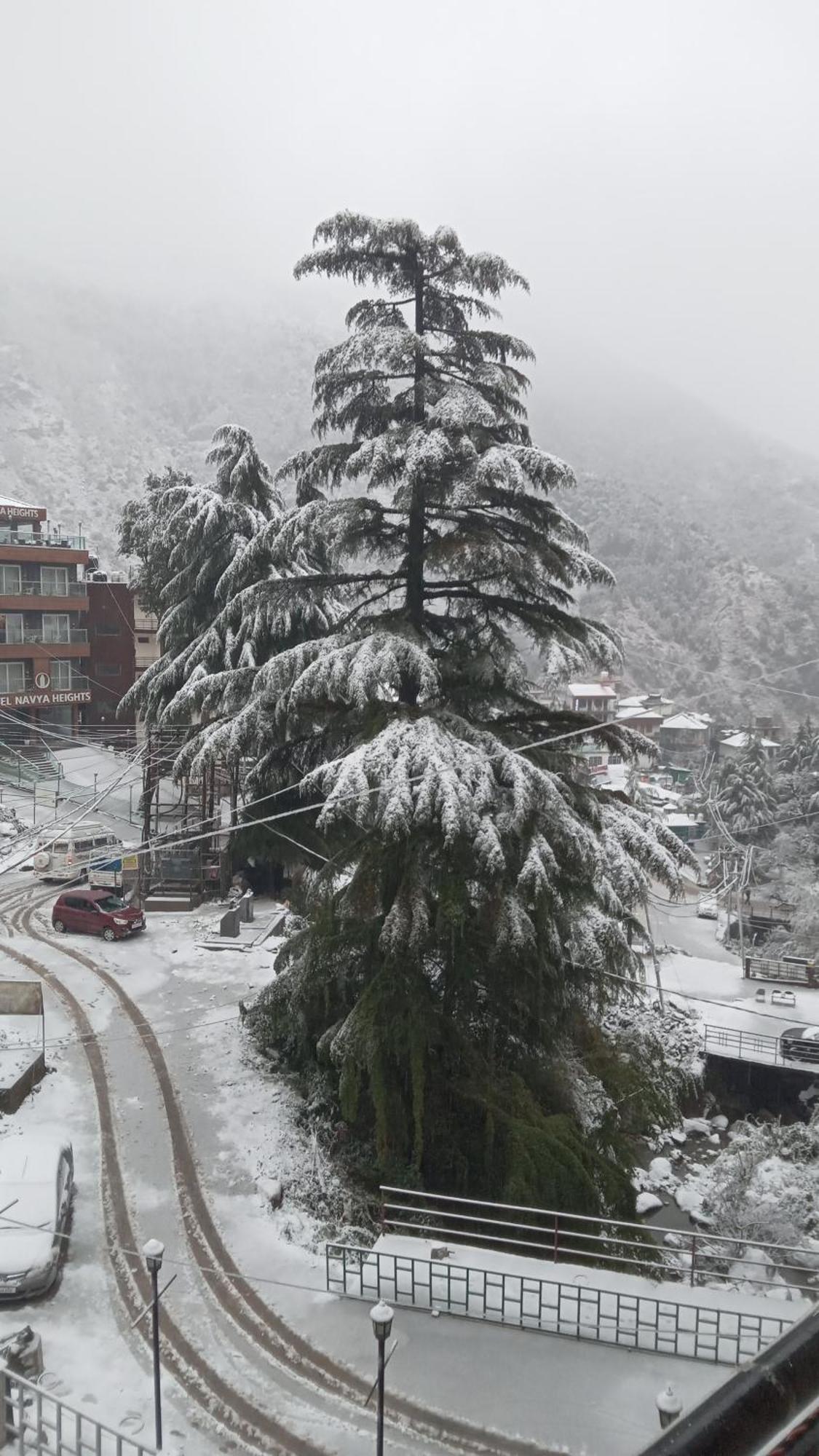 Moonlight Ridge Lägenhet McLeod Ganj Exteriör bild